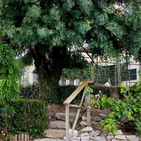 Kabaceira Village Apartamento *